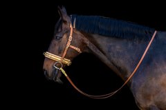 To bit or not to bit 