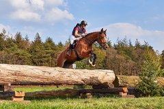 Jumping & Eventing brides
