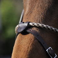 Jumping & Eventing muserolles