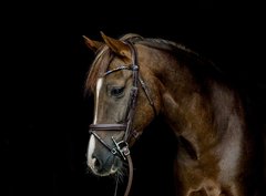 NOUVEAU Bling Swing Magic Tack