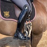 Pioneer Details Range