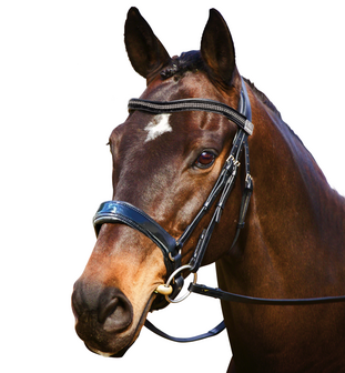 Fairfax Patent Snaffle bridle