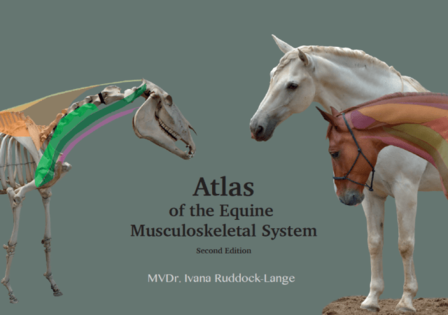 Atlas of the Equine Musculoskeletal System 