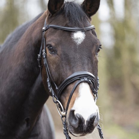 Bling Swing Raised leather : MT Wave-browband without loop