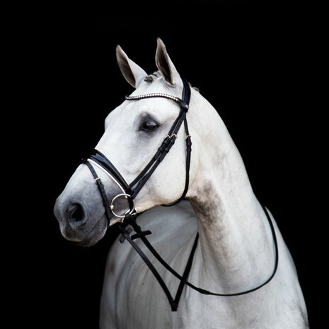 STOCK SALE Stubben Switch 2810 bridle