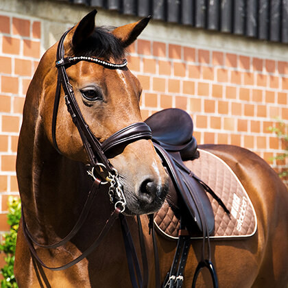 STOCK SALE Stubben Switch 2810 bridle