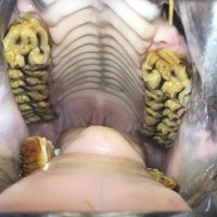 Wat er moet geweten zijn: Tandarts - Tandarts? - Tandarts