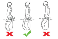 HOE DE BESTE RUITER IN JEZELF NAAR BOVEN BRENGEN: