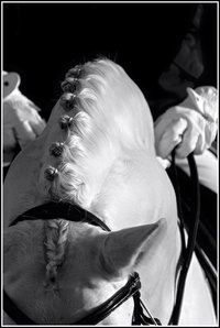 Teugeltje Teugeltje in de hand ! 