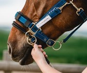 LK pièce d'addaption - Halter Control Stübben 