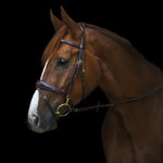 Belmond Utzon bridon