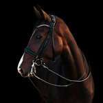 Edingburgh Black/GOLD Utzon bride