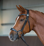 LAST CHANCE BROWN Fairfax Snaffle Drop 