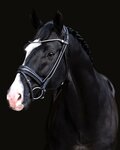 STOCK SALE Finesse Cassidy Snaffle Black/Silver