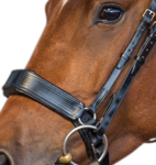 LAST CHANCE Fairfax noseband WITHOUT flash