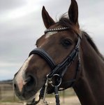 Muserolle model S3 arrondi B2F