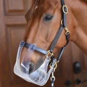 Thinline Muzzle Bridle Ride